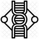 Structure de l'ADN  Icône