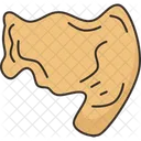 Struvite Stone Kidney アイコン