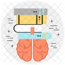 Study Learning Brain Icon