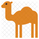 Camen Animale Arabo Icon