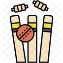 Stump Sports Ball Icon