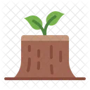 Stump  Icon