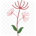 Stylized Flower Flower Floral Icon