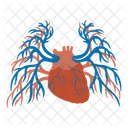 Heart Veins Arteries Icon