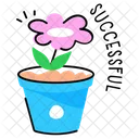 Successful Potted Plant Blooming Flower Icon