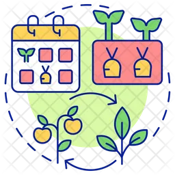 Succession planting  Icon