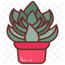Succulent Cactus Desert Plant Icon