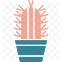 Succulent Plant Cactus Icon