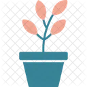Succulent Plant Pot Icon