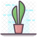 Succulent Cactus Plantation Icon