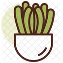 Succulent Icon