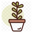 Succulent Icon