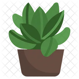 Succulent  Icon