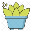 Succulent  Icon