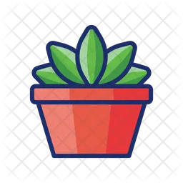 Succulent  Icon