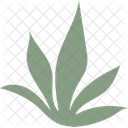 Succulent Cactus Plant Icon