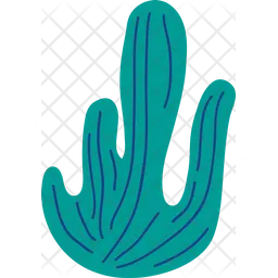 Succulent  Icon