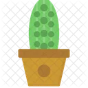 Succulent Plant Cactus Icon