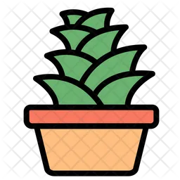 Succulent  Icon