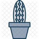 Succulent Plant Cactus Icon