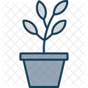 Succulent Plant Pot Icon