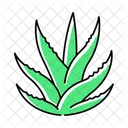 Succulent  Icon