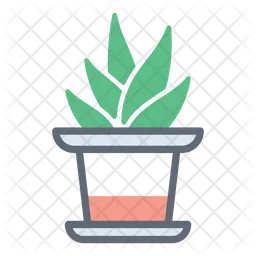Succulent Plant  Icon