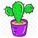 Succulent Plant Cactus Prickly Pear Icon