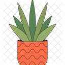 Succulent plant growing in pot  Icon