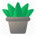 Succulent Plant Icon