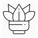  Icône