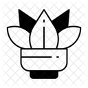  Icône
