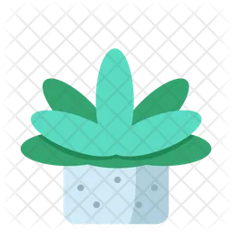 Succulents  Icon