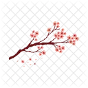 Sakura Branche Vecteur Icône