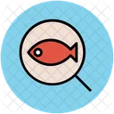 Suchen Fisch Lupe Symbol