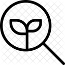 Suche Bio Oko Suche Oko Finden Symbol