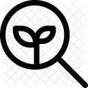 Suche Bio Oko Suche Oko Finden Symbol