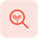 Suche Bio Oko Suche Oko Finden Symbol