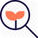 Suche Bio Oko Suche Oko Finden Symbol