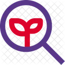 Suche Bio Oko Suche Oko Finden Symbol