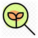 Suche Bio Oko Suche Oko Finden Symbol