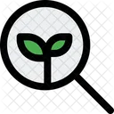 Suche Bio Oko Suche Oko Finden Symbol