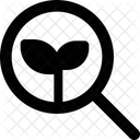 Suche Bio Oko Suche Oko Finden Symbol
