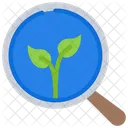 Suche Organisch Suche Organisch Symbol