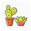 Suculentas y cactus  Icono