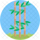 사탕수수 식물 정원 아이콘