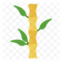 Sugar Cane Icon