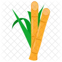 Sugar Cane Cane Cane Field Icon