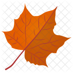 Sugar Maple Icon