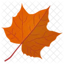 Sugar Maple Maple Leaf Autumn Leaf Icon